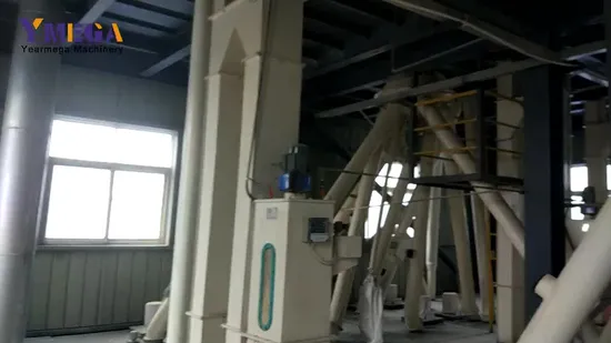 Tierische Geflügel-Hühner-Rinder-Schweine-Fisch-Futter-Pellet-Maschinenlinie für Tierfutter-Produktionsanlage