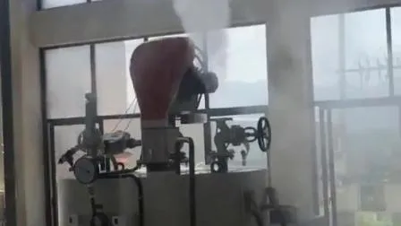 Dampfgeneratorleistung 1 2 3 4 Tonnen/h